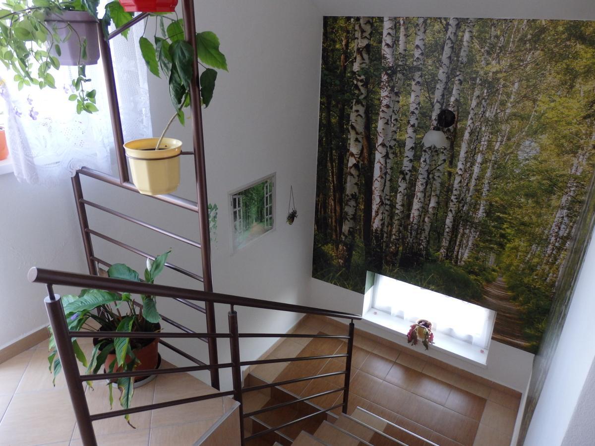 Отель Pivnicka Pod Cachtickym Hradom Чахтице Экстерьер фото